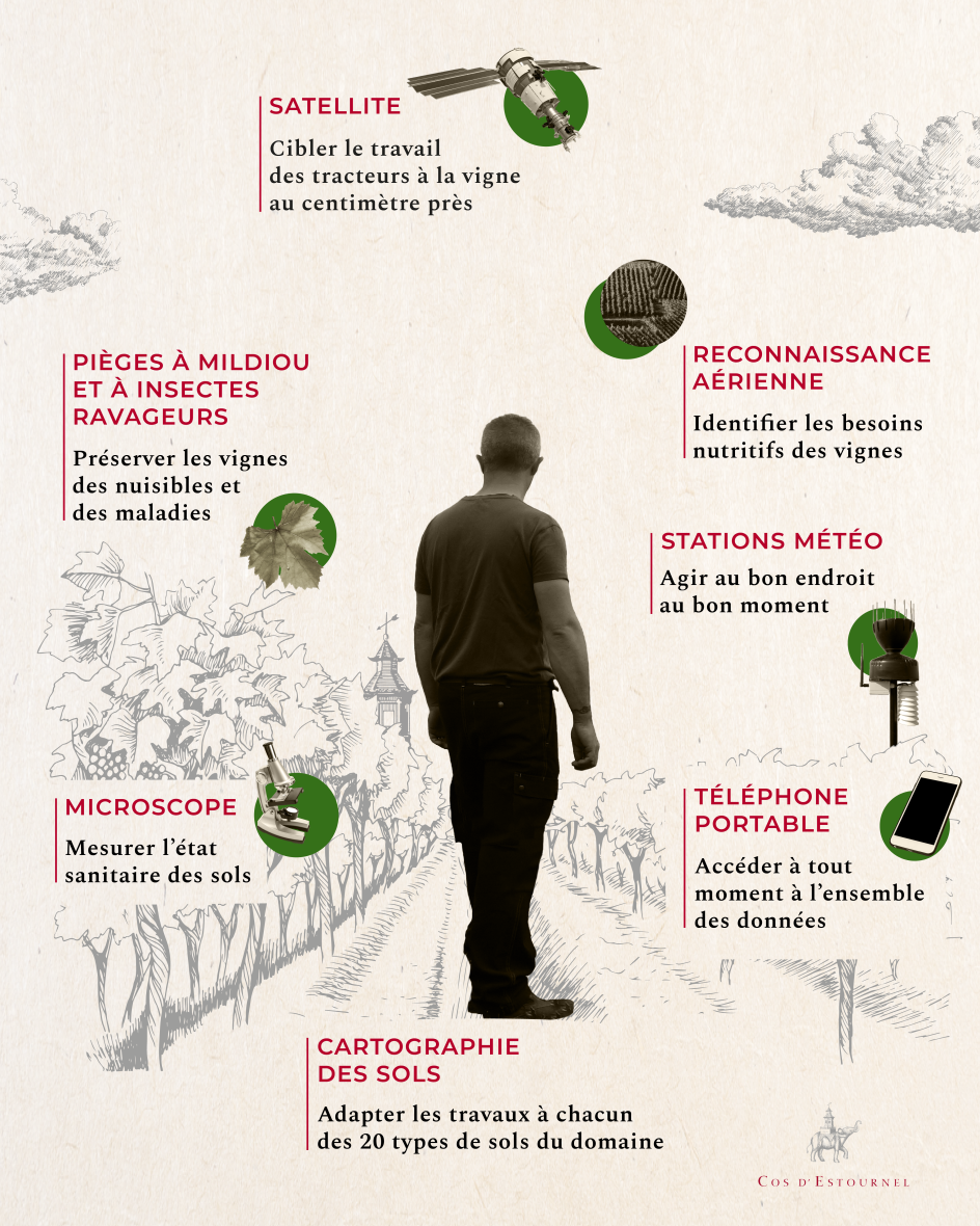 infographie-viticulture