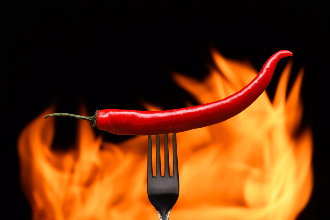 Cos-estournel-piment-Red,Chili,Pepper,,Pricked,On,A,Fork,,On,A,Background